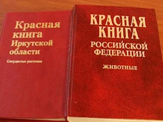 Hvad er den røde bog?